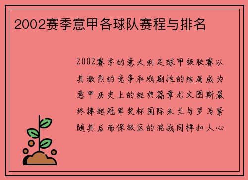 2002赛季意甲各球队赛程与排名